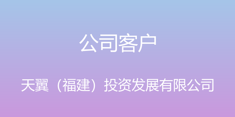 公司客户 - 天翼（福建）投资发展有限公司