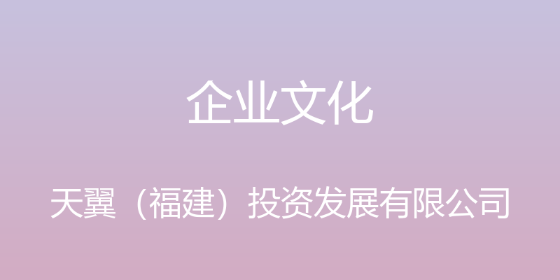 企业文化 - 天翼（福建）投资发展有限公司